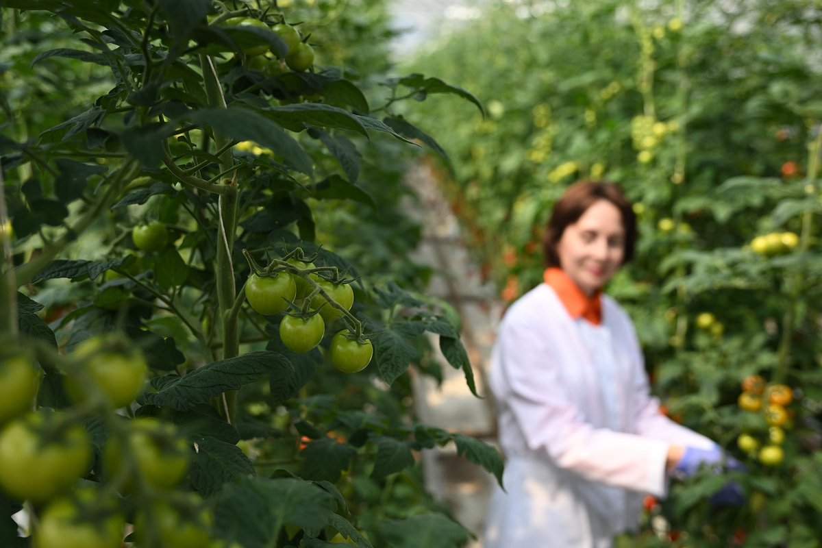 Профессии в агросекторе становятся престижными и модными. Как начинать свою карьеру в агро?