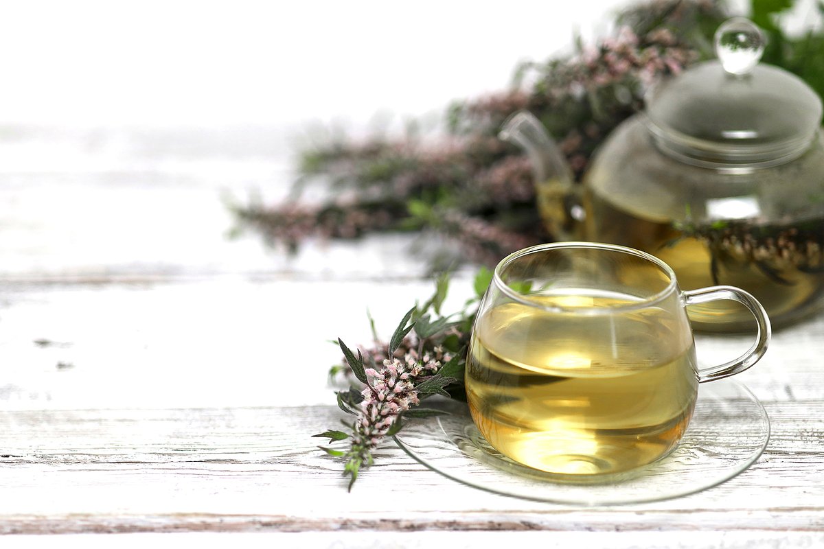 Пустырник: Применение, Польза и Противопоказания