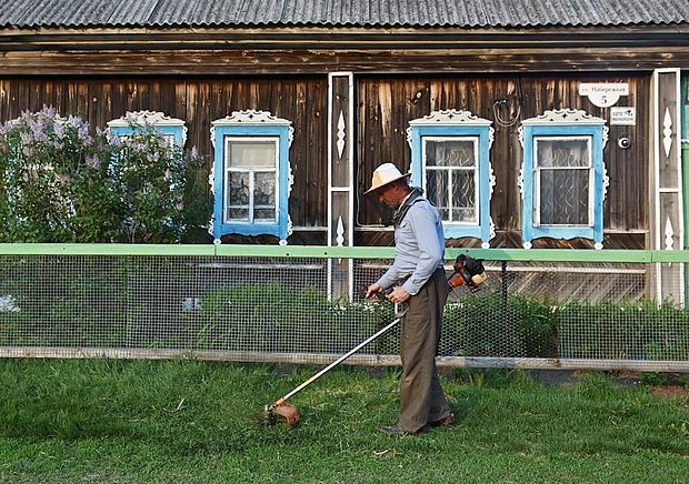 Садовое некоммерческое товарищество (СНТ): преимущества, недостатки, особенности покупки участка