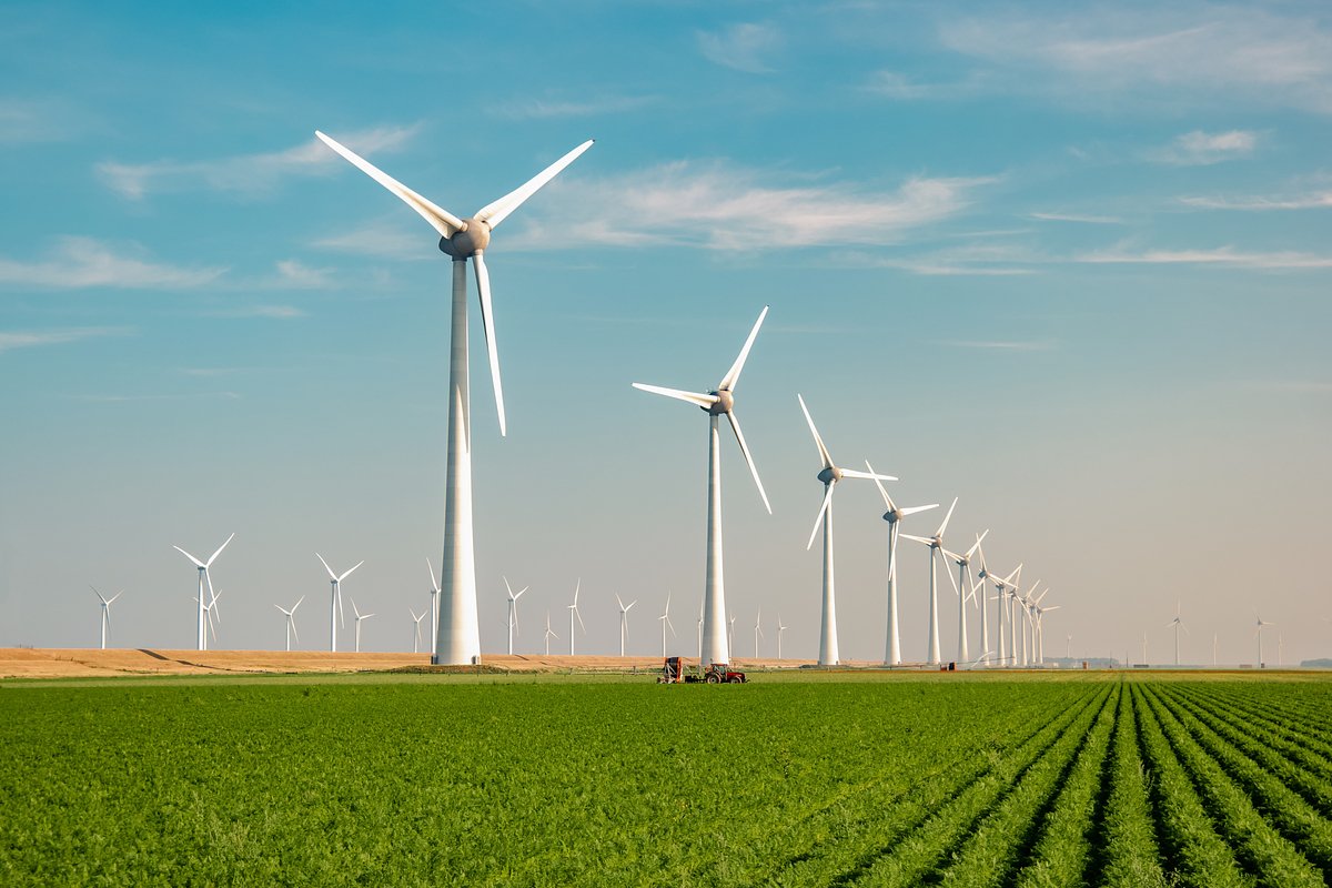 Российские компании начали активно заниматься климатом: как это отражается на россиянах?