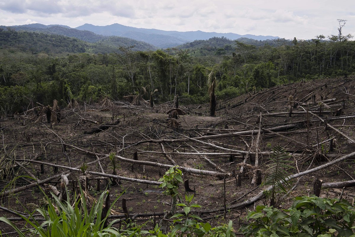 Ученые заявили о начале глобальной климатической катастрофы на Земле, угрожающей миллиардам людей