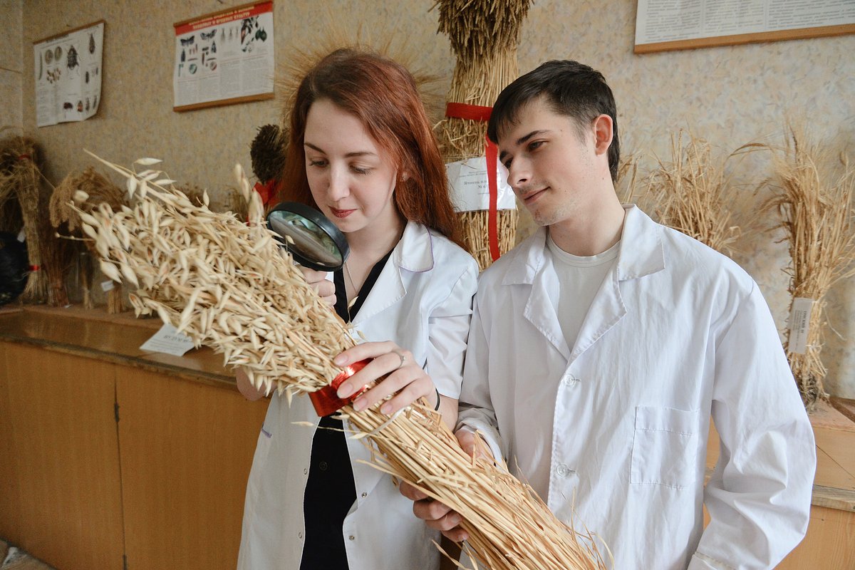 Профессии в агросекторе становятся престижными и модными. Как начинать свою карьеру в агро?