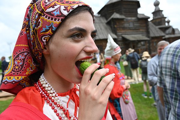 Польза и вред огурцов для организма. Кому и почему нужно, а кому нельзя есть этот овощ?