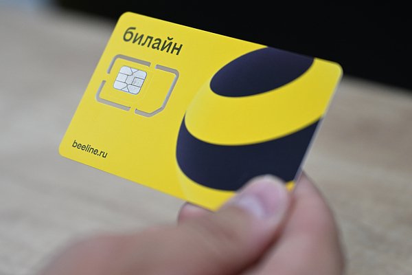 Билайн начал продажу сим-карт на платформе «Самокат» с доставкой