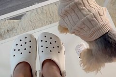 Crocs запустил продажу резинок для собак