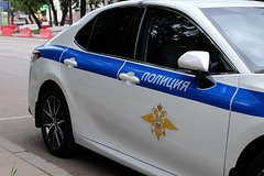 Во Владивостоке житель развел свору собак, которых не выгуливал