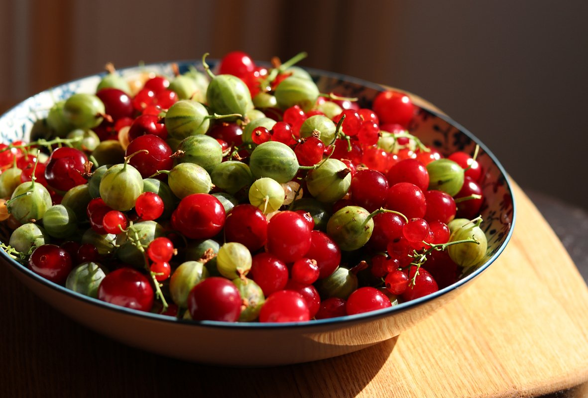 Зимний компот из крылышника: пять лучших рецептов