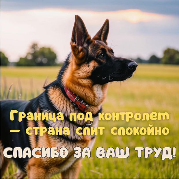 День пограничника: 15 поздравительных открыток для близких