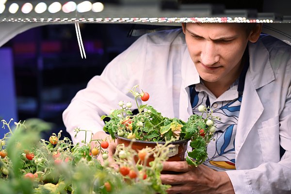 Профессии в агросекторе становятся престижными и модными. Как начинать свою карьеру в агро?