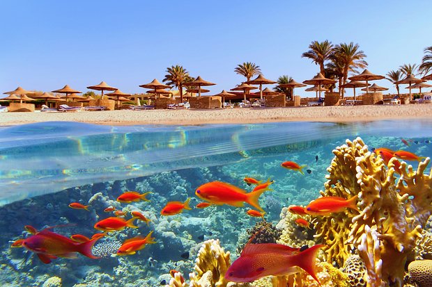 Российские граждане лишились элитных квартир, приобретённых в Египте 17 лет назад. Людей выселили с вещами на улицу