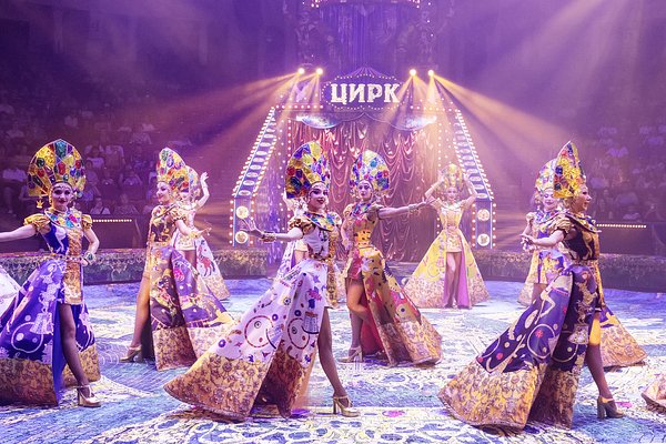 «Мы будем сохранять и развивать традиции великого русского цирка» — Гендиректор Росгосцирка о настоящем и будущем компании