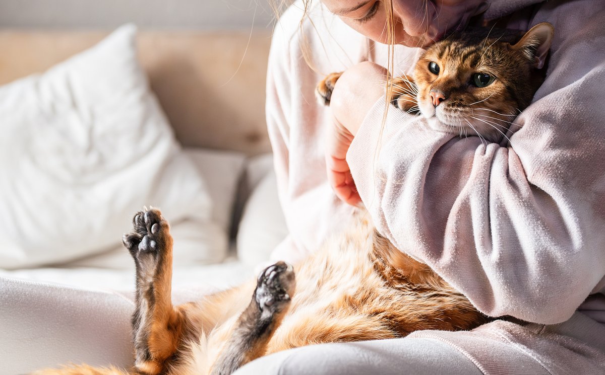 Россияне жестко спорят, кого нужно спасать при пожаре: своего питомца или чужого ребенка. Что говорит о человеке его выбор?