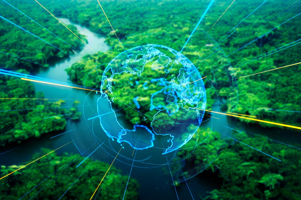 Российские компании начали активно заниматься климатом: как это отражается на россиянах?