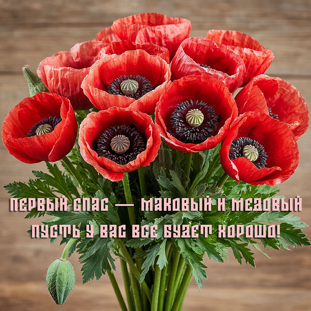 Празднование Медового Спаса: бесплатные открытки и поздравления