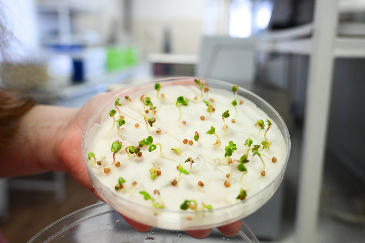 Профессии в агросекторе становятся престижными и модными. Как начинать свою карьеру в агро?