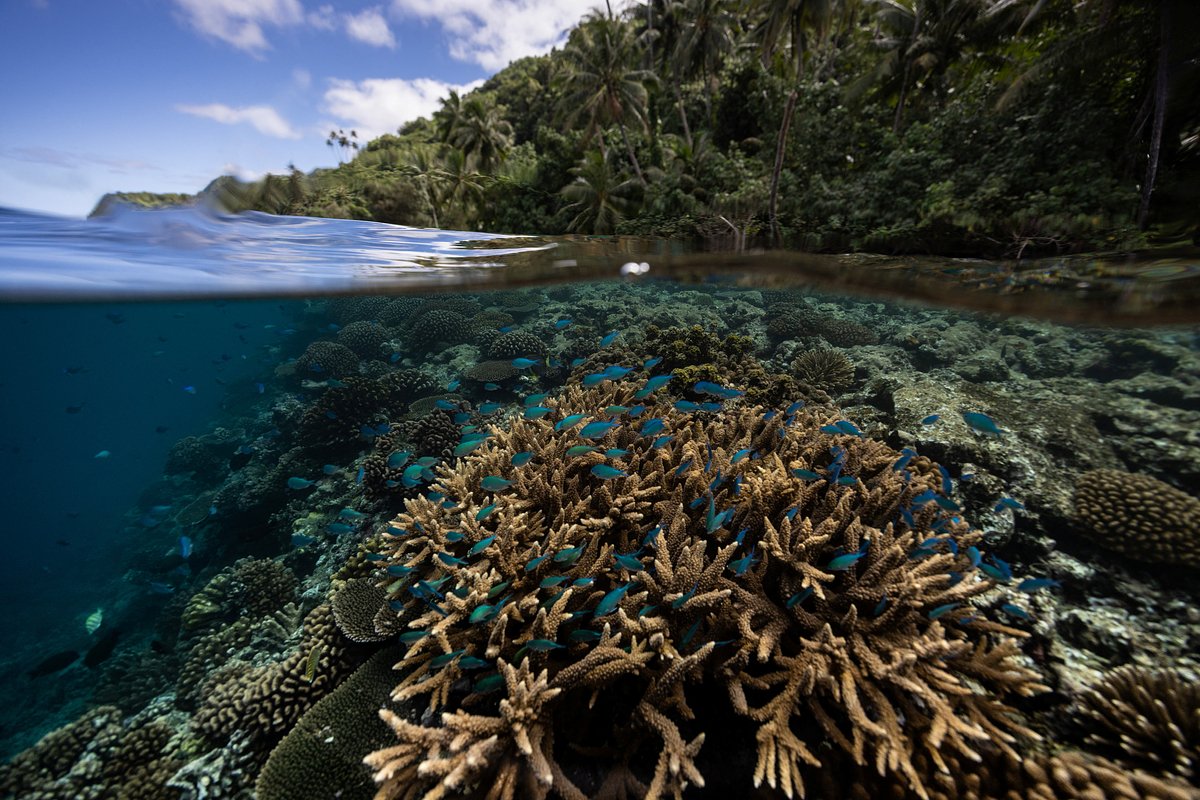 Ученые заявили о начале глобальной климатической катастрофы на Земле, угрожающей миллиардам людей