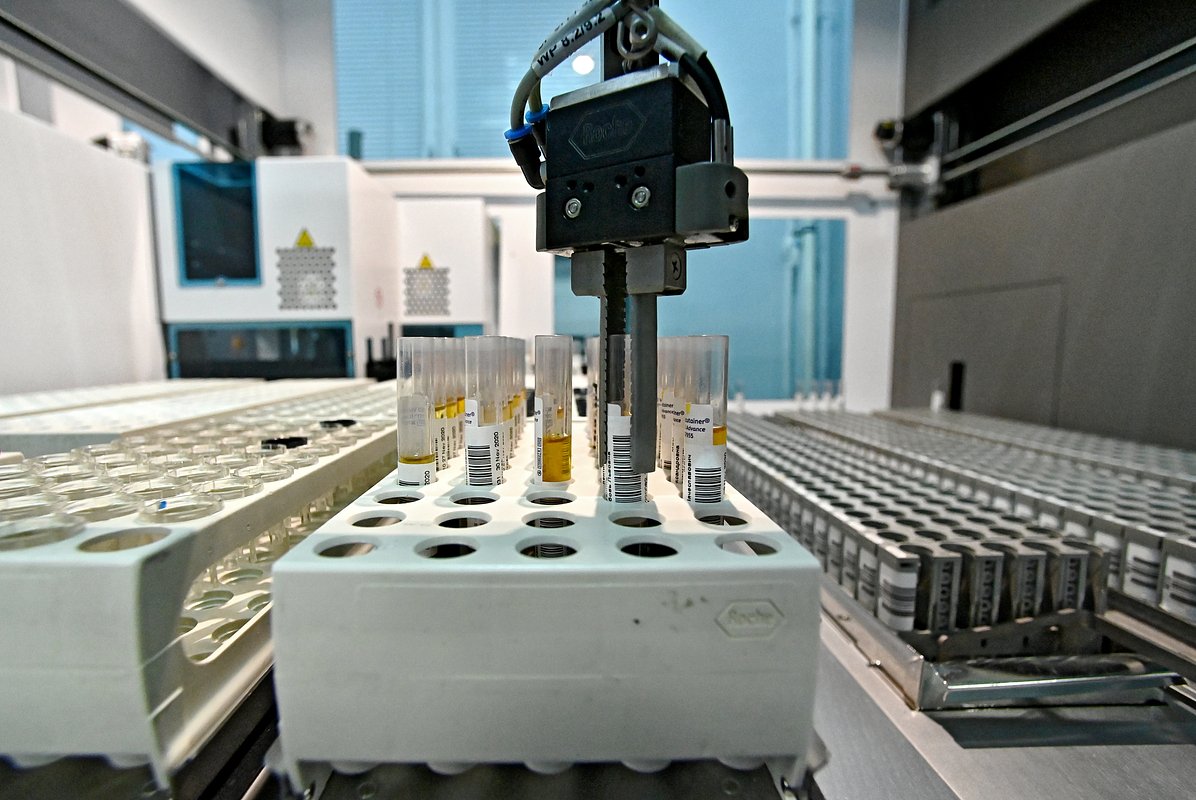 Государственная поддержка бизнеса в России: Как цифровизация помогает снизить расходы?