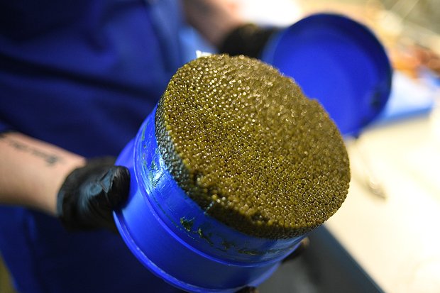 Американцы стали активно приобретать товары из России: от фарфора до сувениров