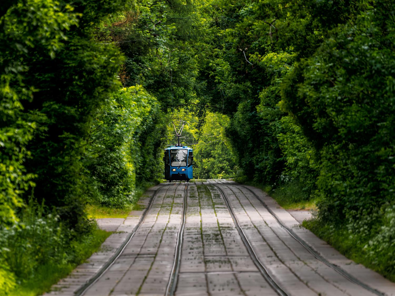 Фото: YuTphotograph / Shutterstock / Fotodom