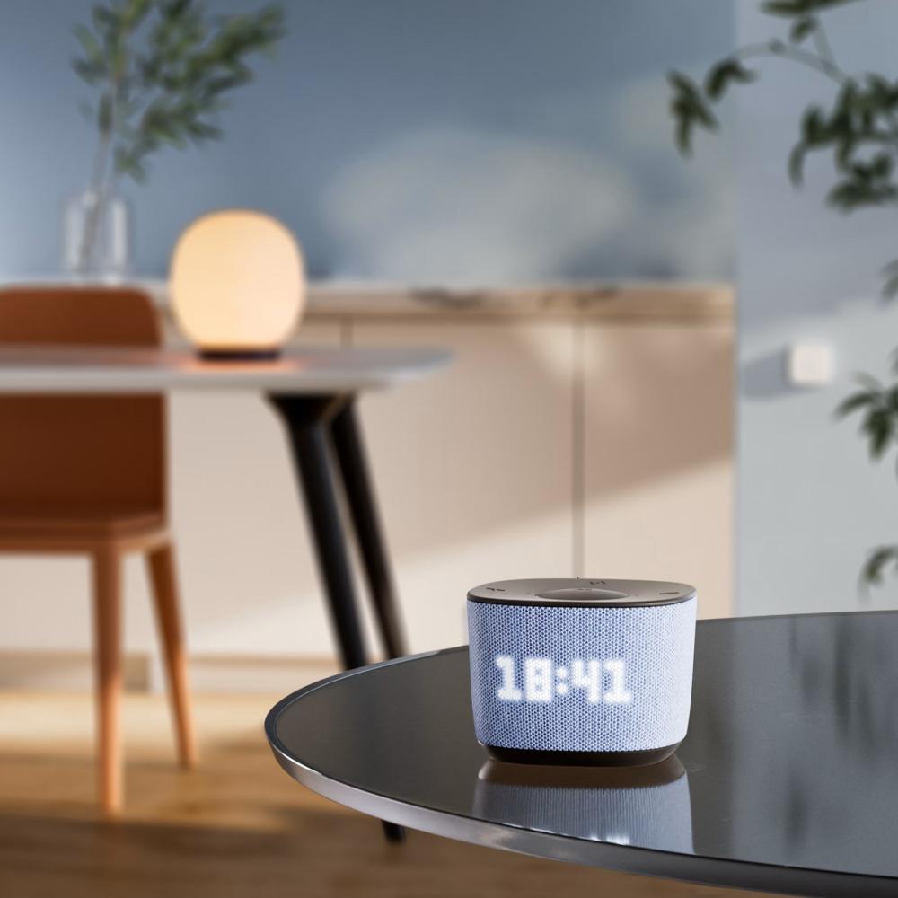 Умная колонка SberBoom Home