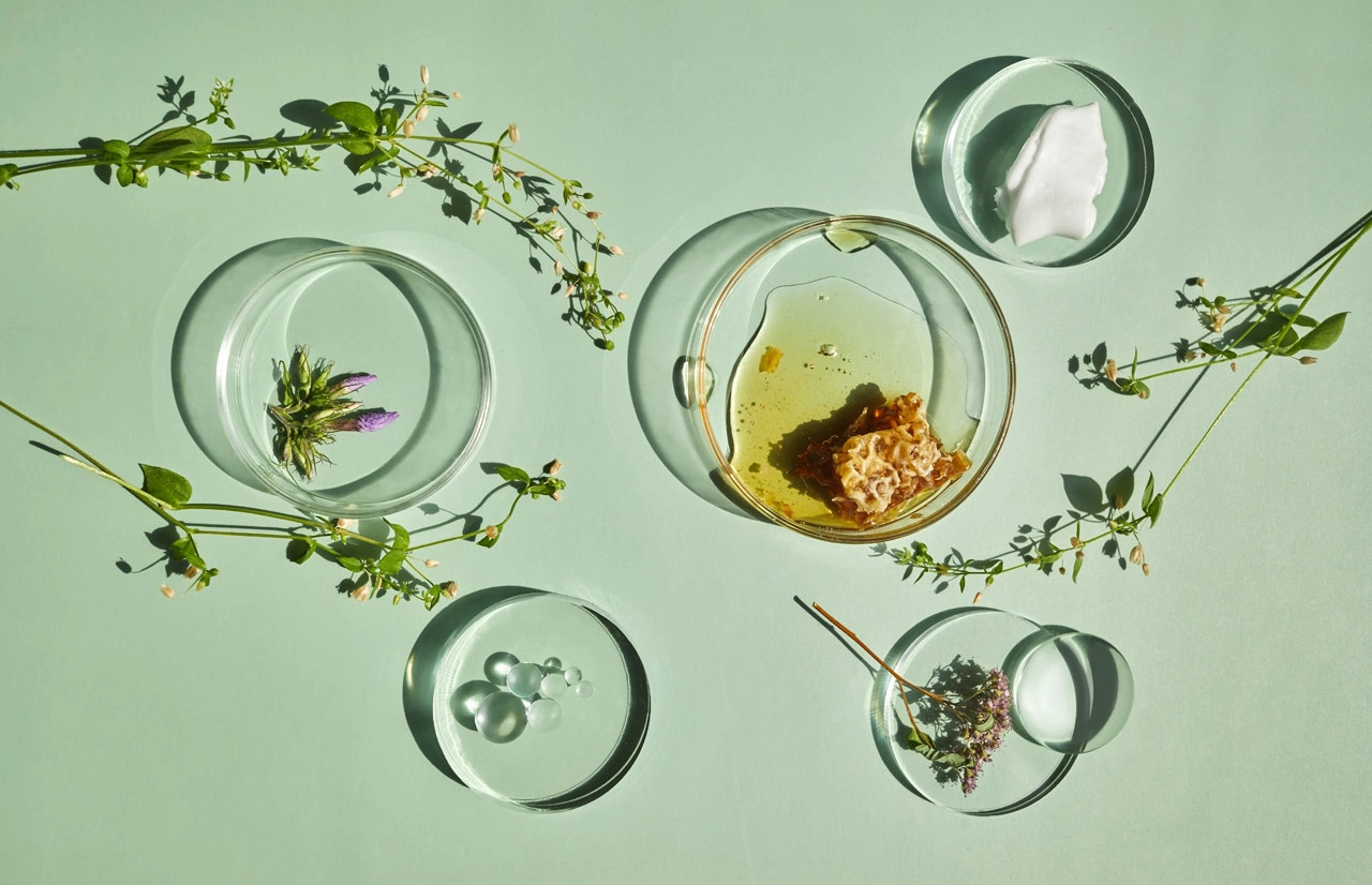 Фото: vetre / Shutterstock / Fotodom