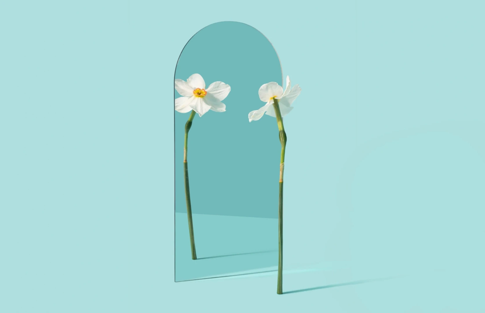 Фото: Neeqolah / Shutterstock / FOTODOM