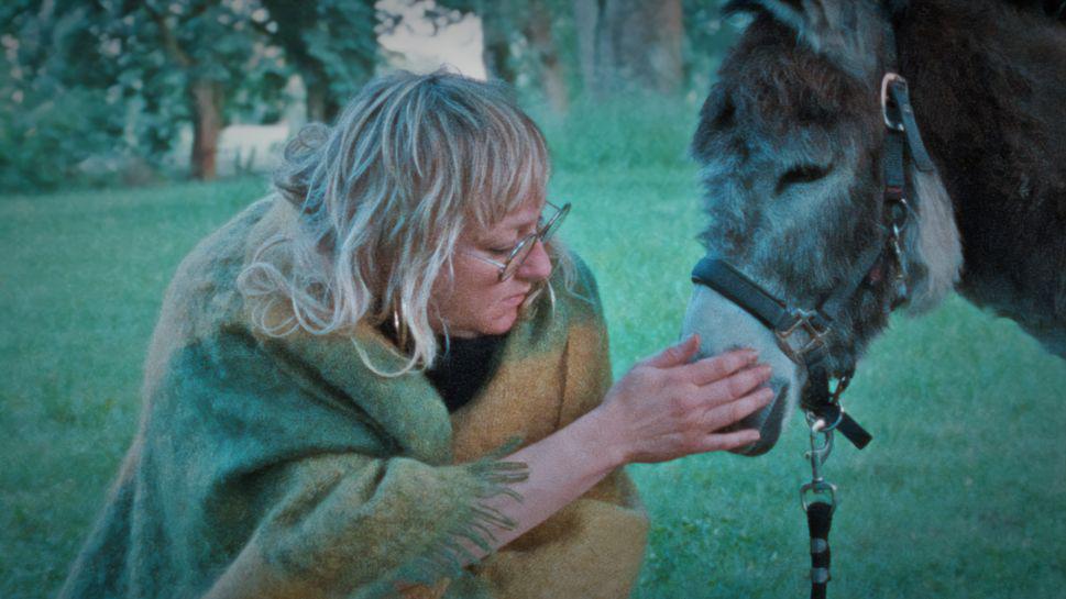 Фото: Donkey Days