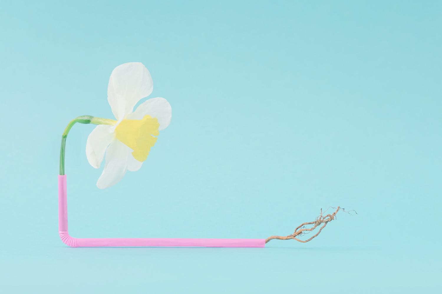 Фото: kalkulus / Shutterstock / FOTODOM