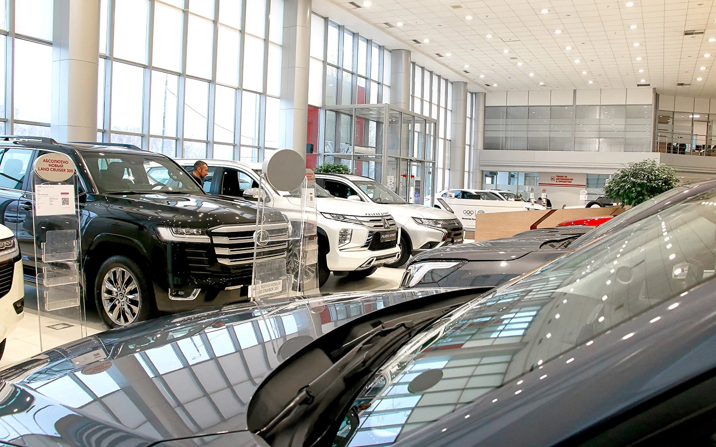 Фото: KELENY / Shutterstock / FOTODOM