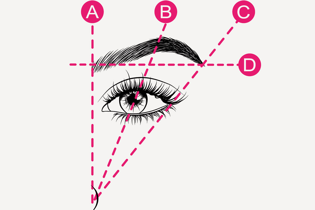 Бровь формирует головка, тело, хвостик и точка перегиба (арки). Корректируя каждую из них, можно добиться той или иной формы