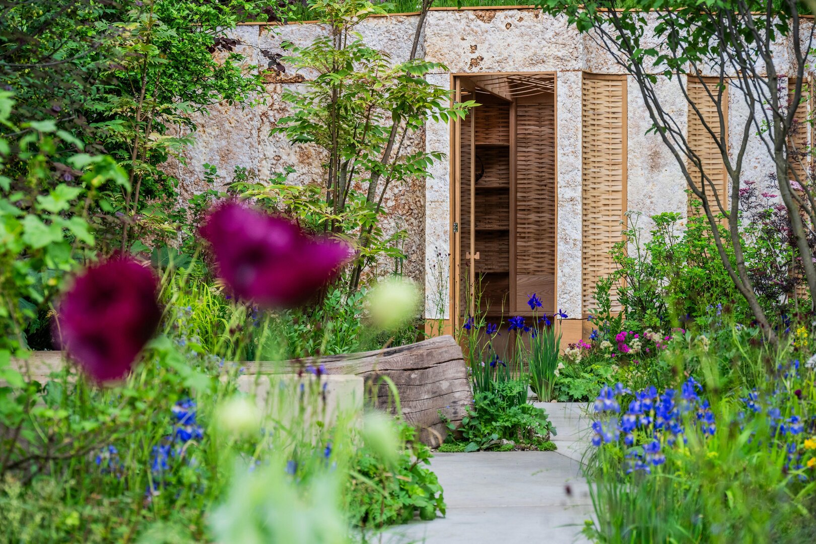 Сад Addleshaw Goddard Freedom To Flourish на Цветочном шоу RHS в Челси.