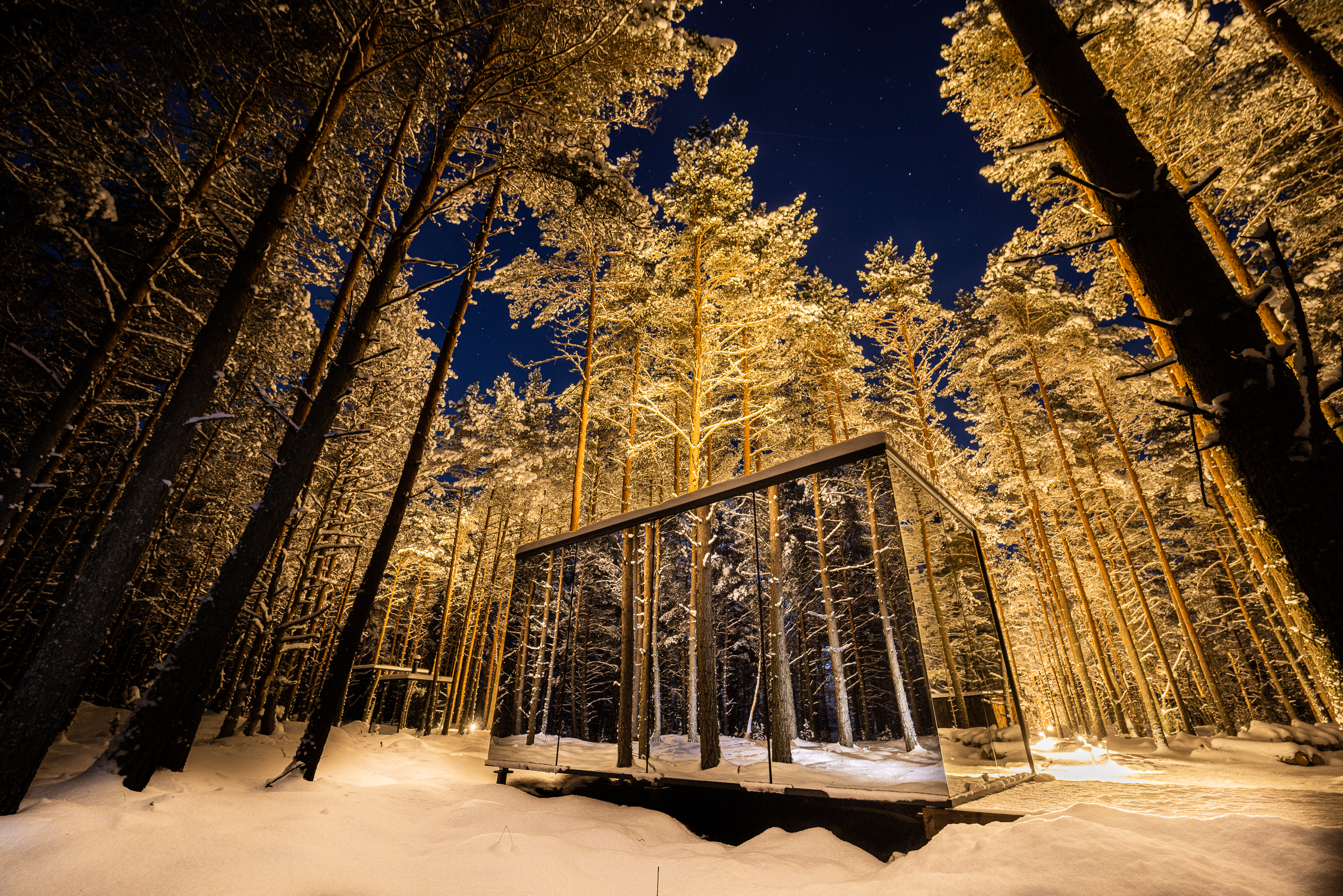 стеклянное здание посреди snowy леса