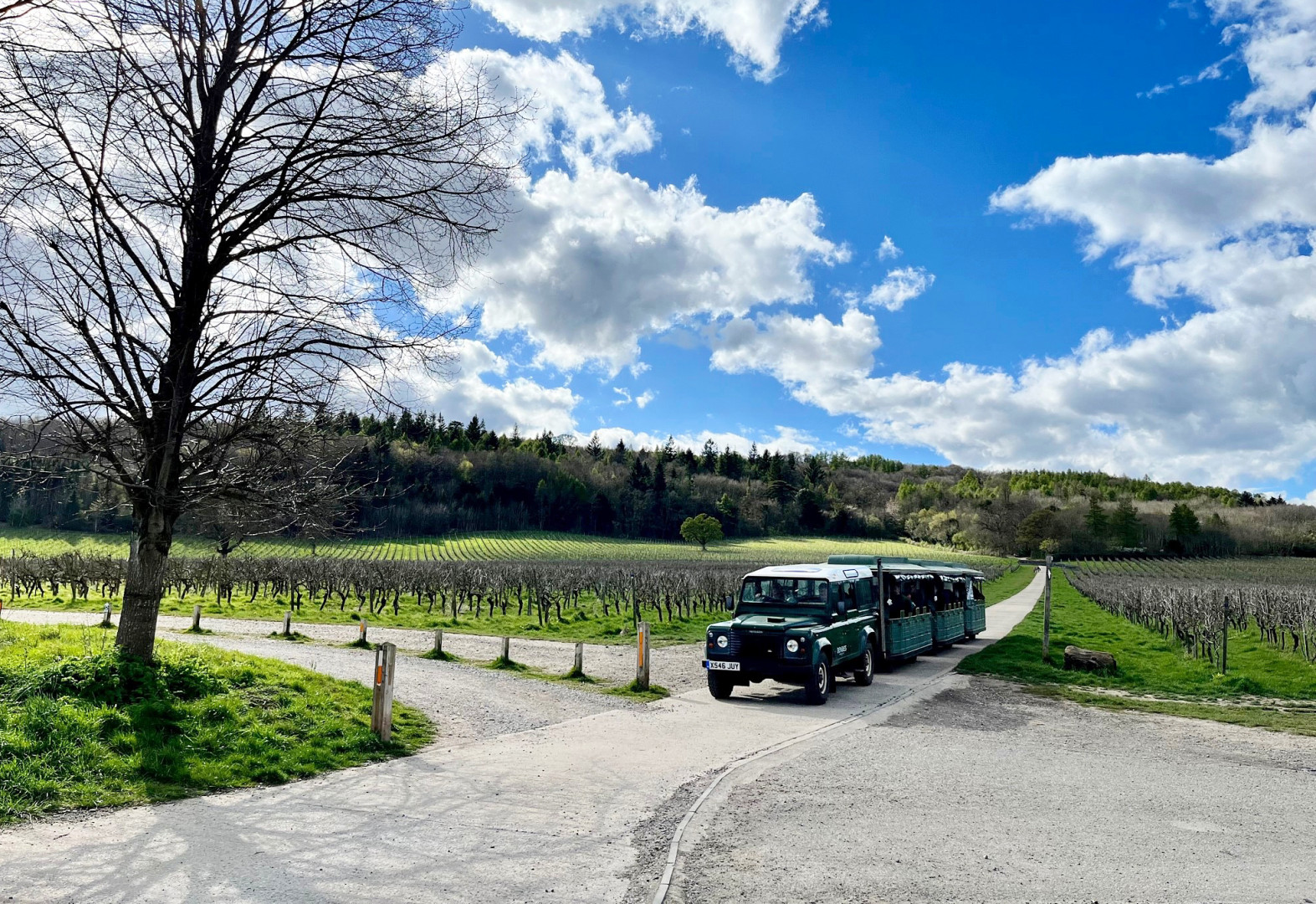 Denbies Wine Estate, Суррей, один из лучших вариантов проживания на винодельне в Великобритании